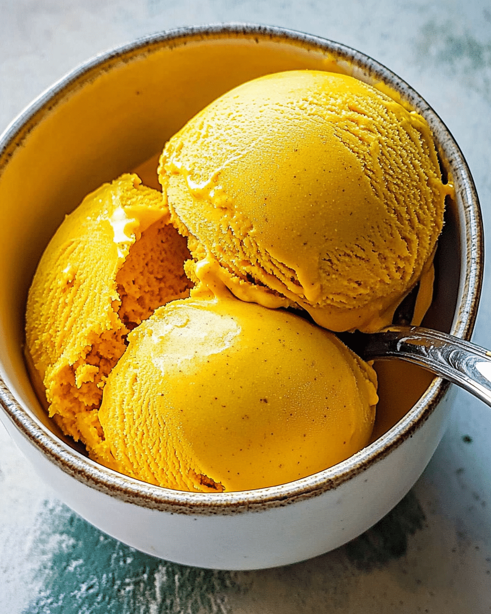 Vegan Pumpkin Ice Cream