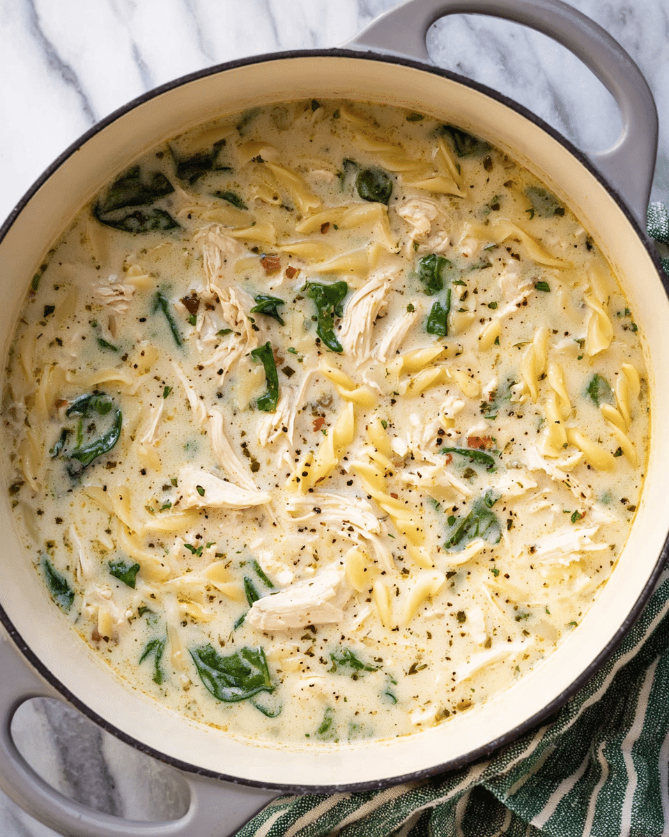 White Lasagna Soup Recipe