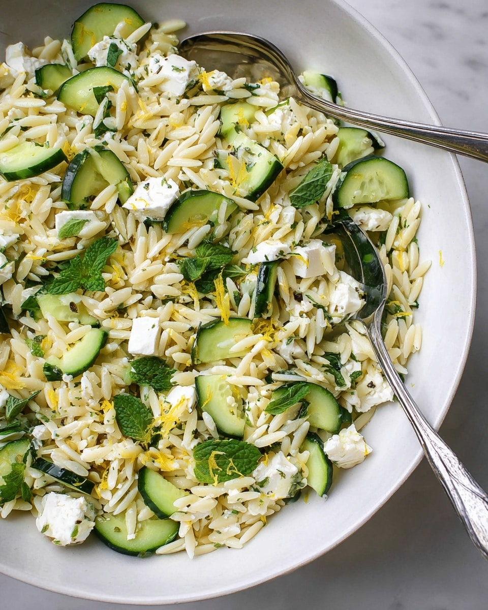 Lemony Orzo Pasta Salad with Cucumber and Feta Recipe