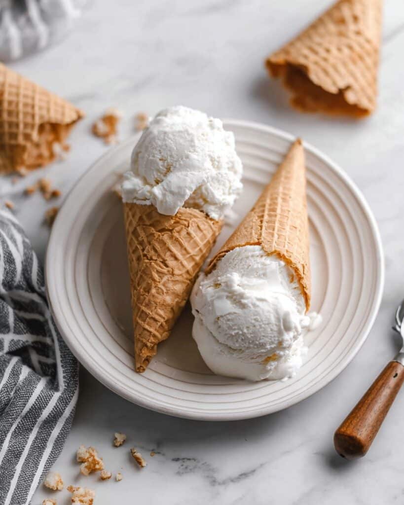 Vegan Cashew Coconut Ice Cream Recipe
