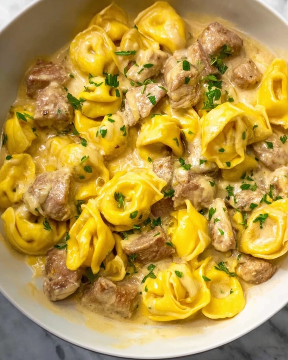 Crock Pot Steak Bites and Tortellini Recipe