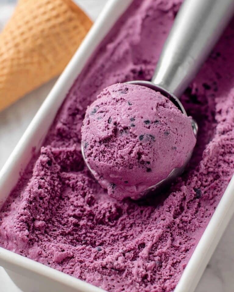 Blueberry Frozen Yogurt Recipe