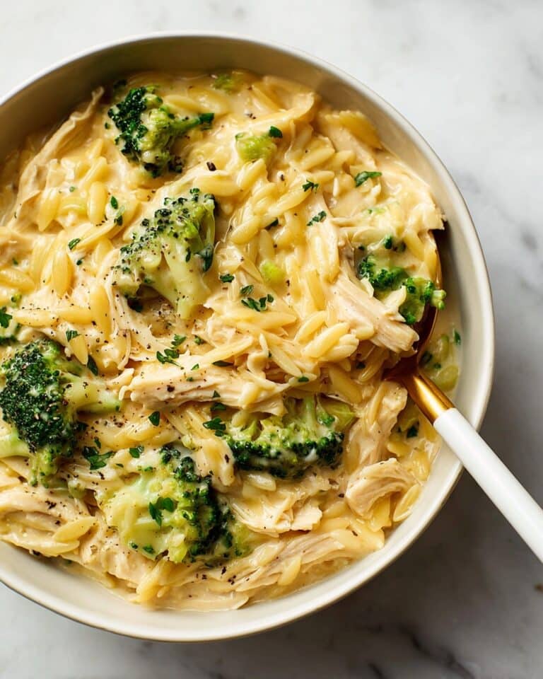 Cheesy Chicken Broccoli Orzo Recipe