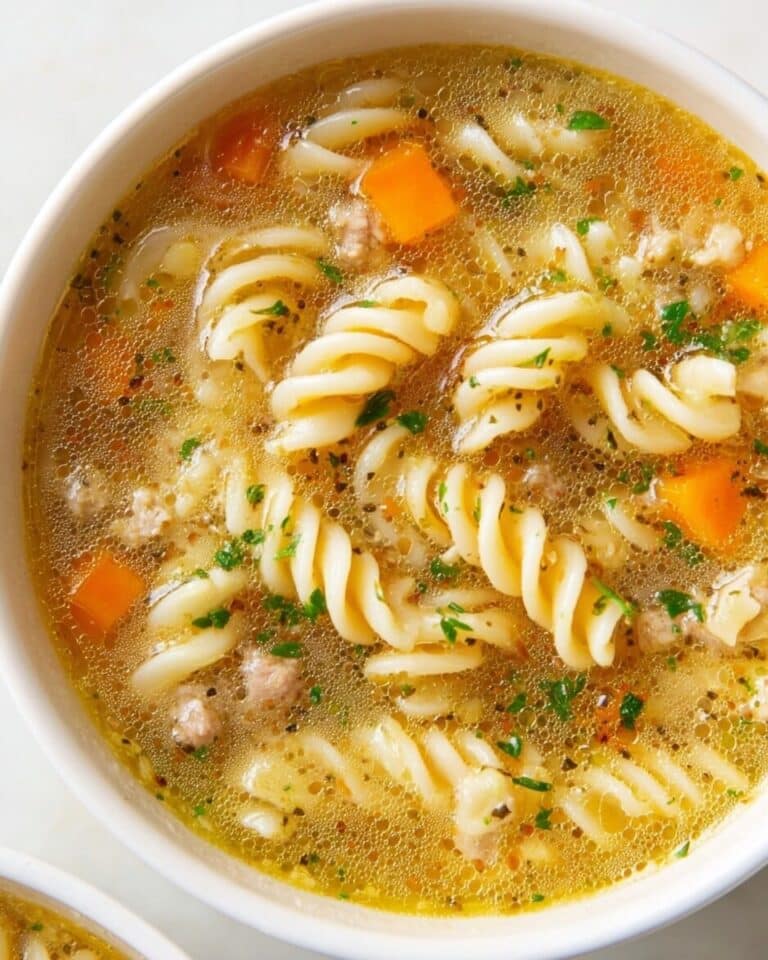 Instant Pot Chicken Noodle Soup Recipe